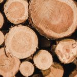 Tartak – Źródło Wspaniałego Drewna: Buduj Z Pasją i Wytrzymałością.